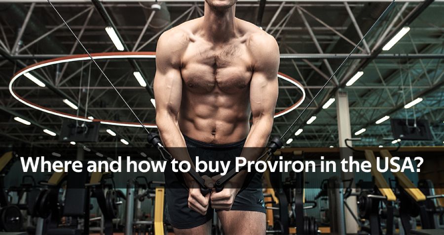 buy proviron online